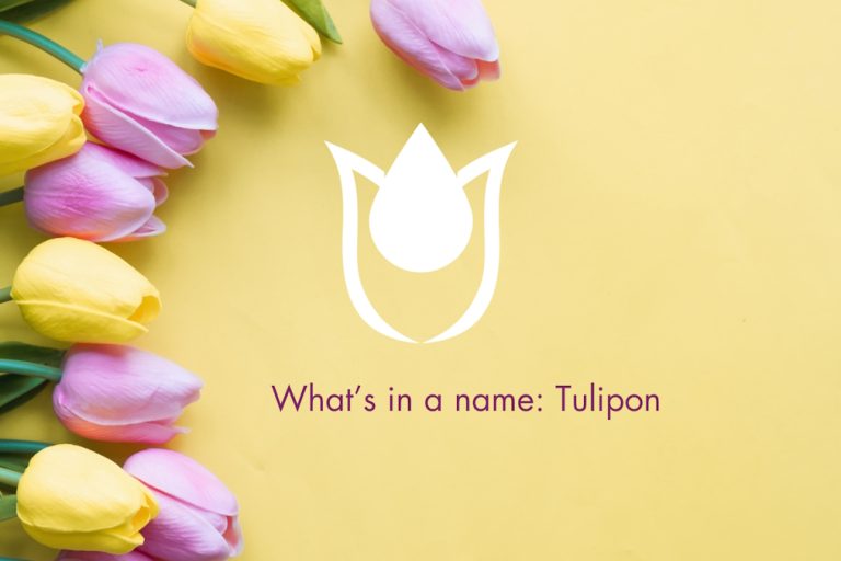 Tulipon meaning